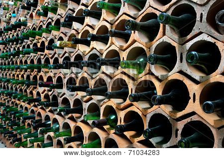 Cellar