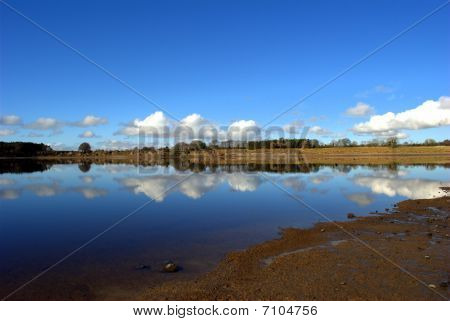 spring reflectons