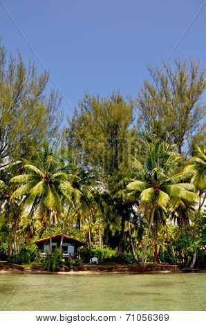 Raiatea