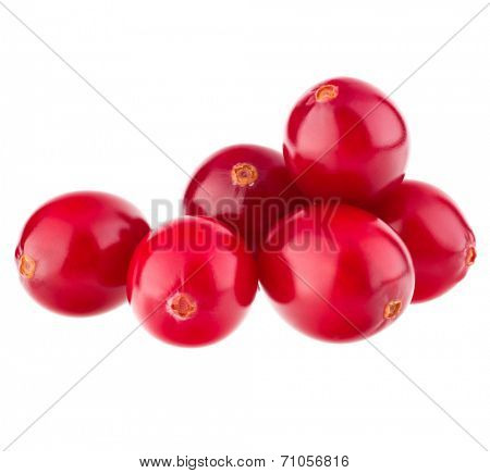 cranberry  isolated on white background cutout