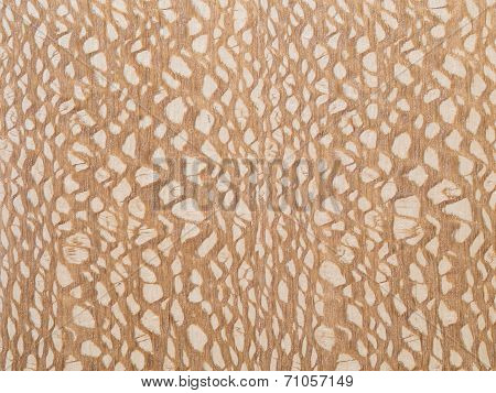 Abstract Wood Wall Texture Background