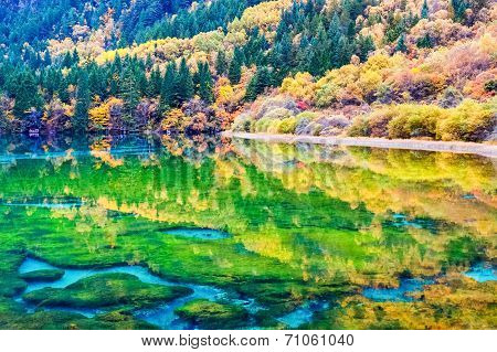 Beauty Autumn In Jiuzhaigou