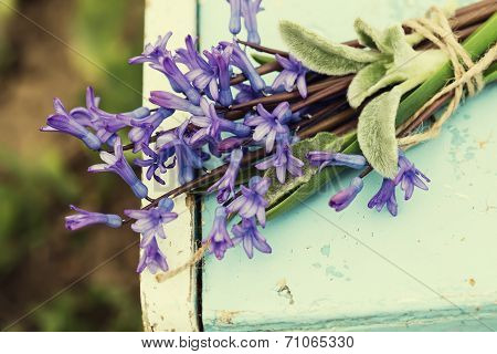 Fresh Spring Flowers