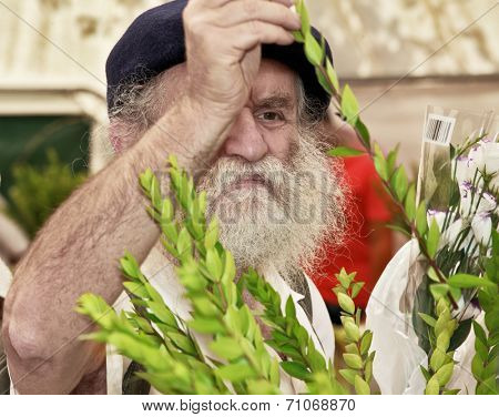 JERUSALEM, ISRAEL - SEPTEMBER 18, 2013: The gray-bearded religious Jew in a black beret carefully chooses ritual plant - myrtle for Sukkot.