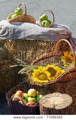 Heads of grain apples and sunflowers. Harvest on the haystack.