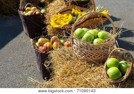 Heads of grain apples and sunflowers. Harvest on the haystack.