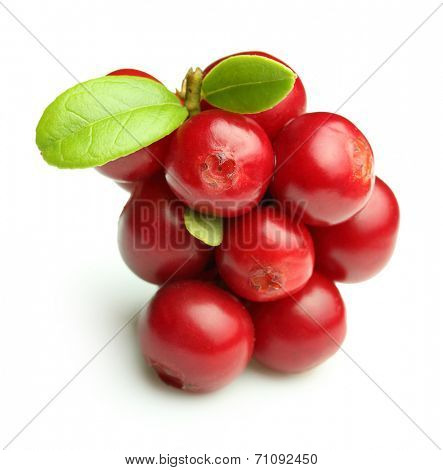 Forest wild berry cowberry with leaves isolated.