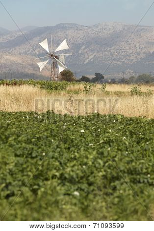 Traditional Windmills In Lasithi Plateau. Crete. Greece