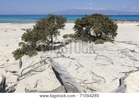 Chrysi Island Beach Near Crete. Greece
