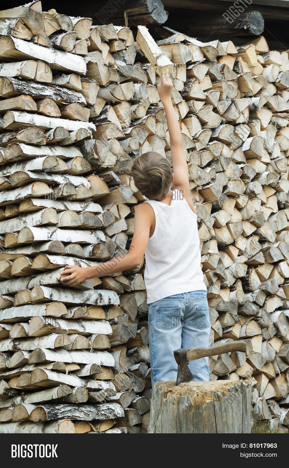 Женщина с дровами. Тележка для перевозки дров. Рубка дров. Нарубленные дрова. Рубка дров.
