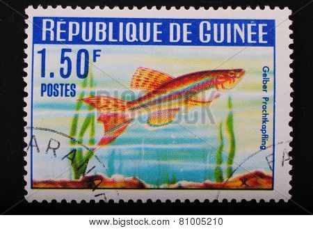 Guinea-circa1964: Postage Stamp Printed In Republic Of Guinea Shows The Image With The Inhabitants O