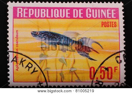 Guinea-circa1964 Postage Stamp Printed In Republic Of Guinea Shows The Image With The Inhabitants Of