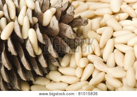 clean pine nuts