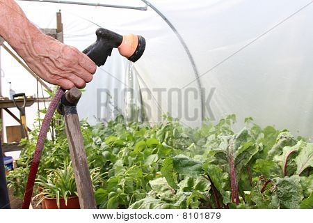 Vanding planter.