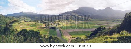 Vista do Vale de Hanalei