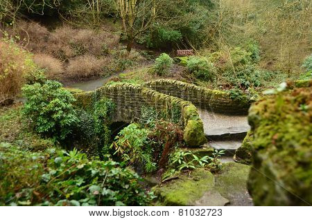 Bridge in Park