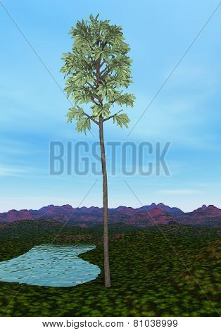 Cordaites tree - 3D render