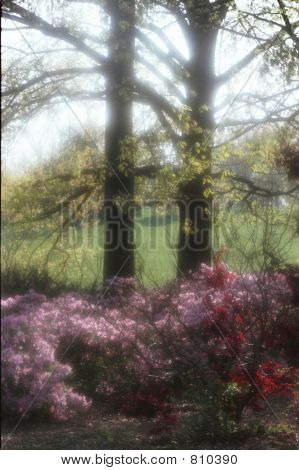 Printemps dans le parc de la ville de Kansas Loose, avec un objectif flou.