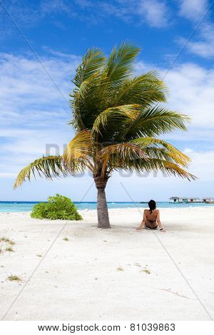 Relax Under The Palm Tree