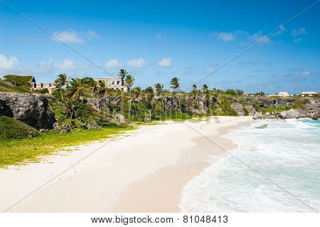 Harrismith Beach is one of the most beautiful beaches on the Caribbean island of Barbados. It is a tropical paradise with palms hanging over turquoise sea and a ruin of an old mansion on the cliff