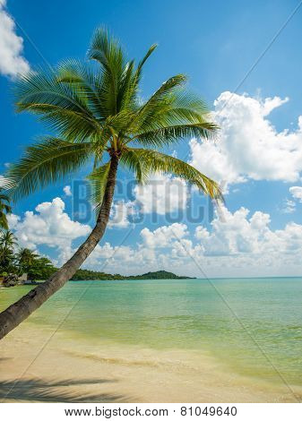 Tropical beach of Chaweng on Koh Samui island in Thailand