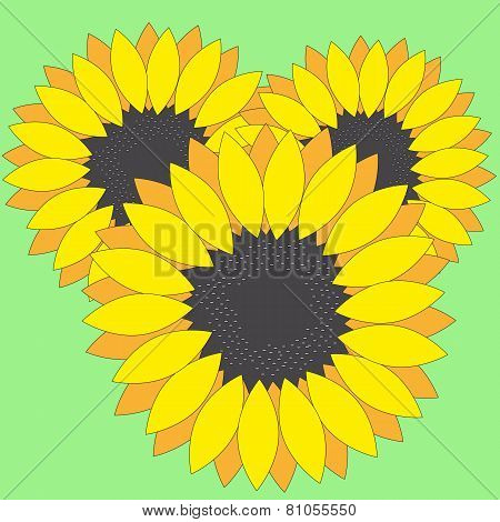 Three Sunflowers