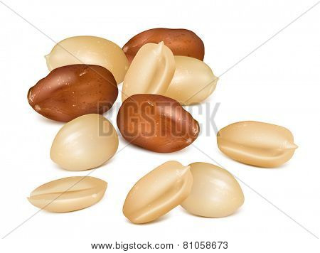 Peanuts with kernels. Vector illustration.