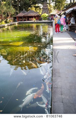 Pura Tirta Empul Temple, Bali, Indonesia