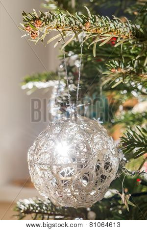 Spruce In New Year Time