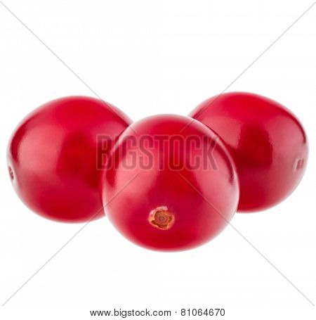 cranberry  isolated on white background cutout