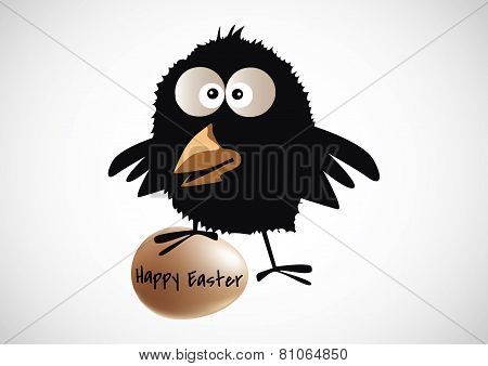 Black Chick