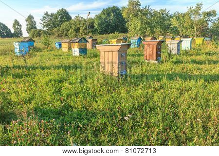 Farm Apiary With Multicolor Beehouses