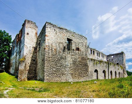 Medieval Castle In Chortkiv