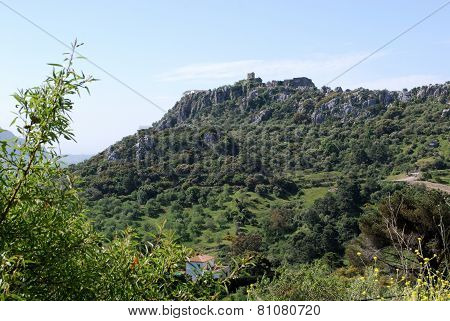 Mountains near Gaucin.