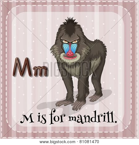 Illustration of a letter M is for mandrill
