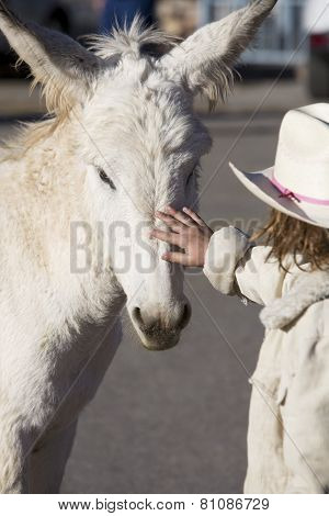 Burro With Child