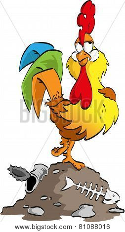Cock