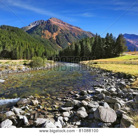  Austrian Alps. Headwaters Krimml waterfalls. The narrow stream flows between fields and pine forests. Bluish - green transparent water glows in the sun