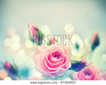 Beautiful Pink Roses. Vintage Styled card design. Retro style toned. Valentine's day. Soft focus