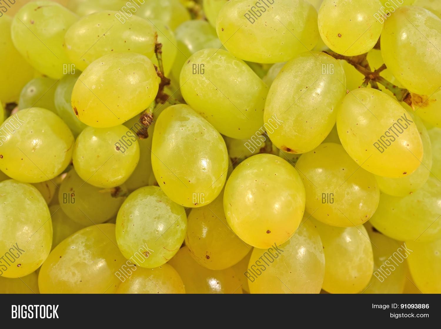 Green Grapes Close Image & Photo (Free Trial) Bigstock