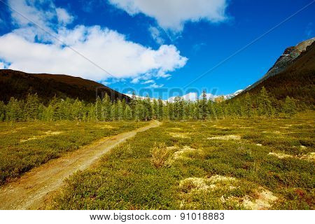 Hiking trail