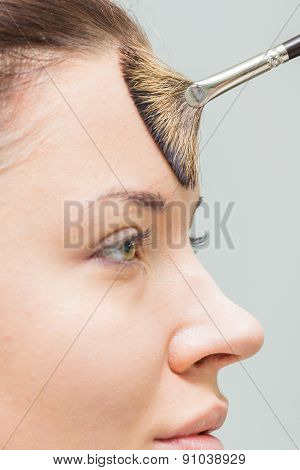 Application of powder on the model's face. Makeup artist in a beauty salon doing make-up special bru