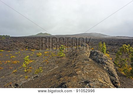 Volcanic Park, Big Island, Hawaii