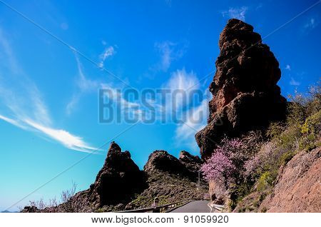 Volcanic Rock Basaltic Formation in Gran Canaria