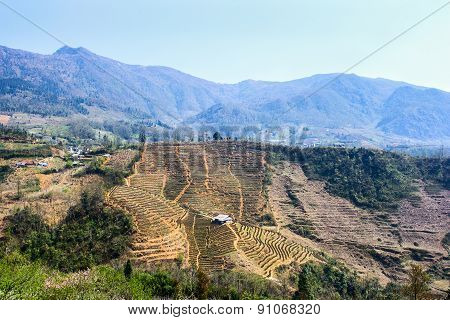 The paddy fields terraced culture Sapa Vietnam