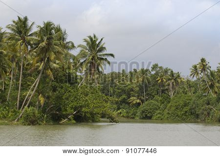 Allepey Backwaters Boats In Kerala State, India
