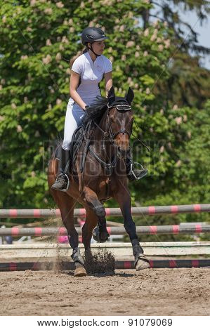Young Horsewoman Is Landing Brown Horse