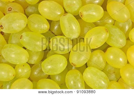 Green Grapes  Background