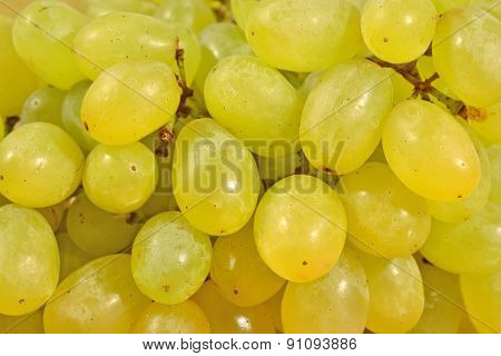 Green Grapes Close Up