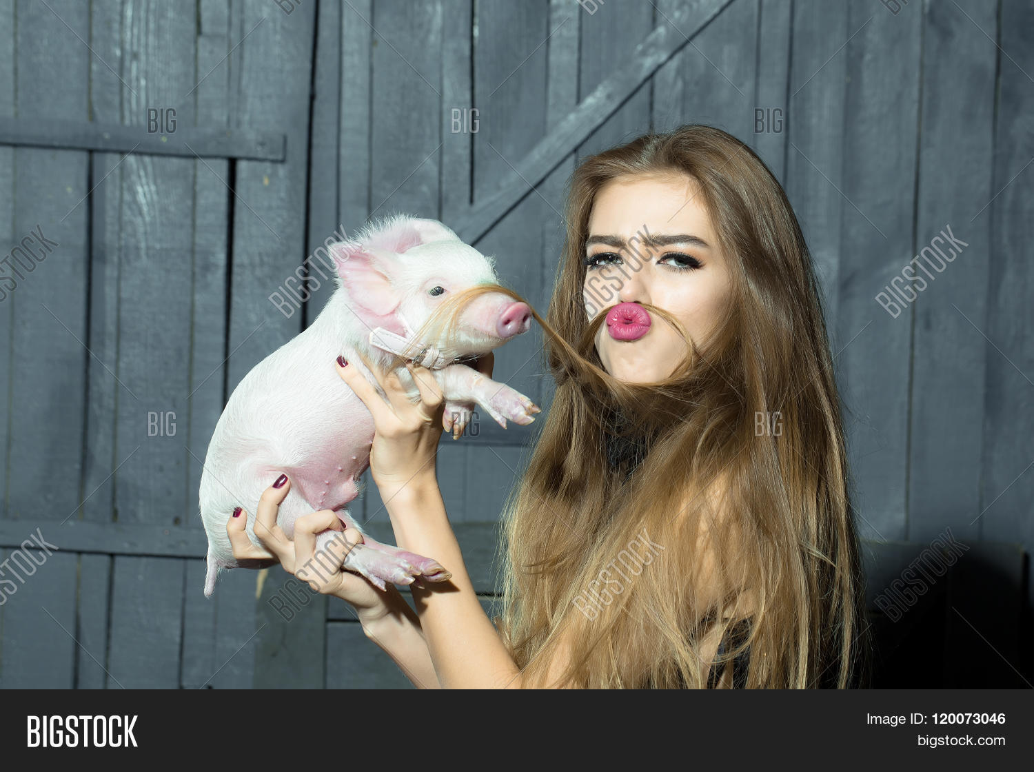 Funny Woman Pig Image & Photo (Free Trial) Bigstock